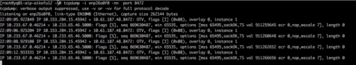 Kubernetes網(wǎng)絡(luò)排錯骨灰級中文指南17
